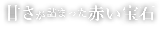 多彩なお食事とアルコールが楽しめる居酒屋
